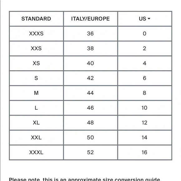 Je M’en Fous Italian Gray Cheeky thong cheeky bikini bottoms - Picture 10 of 10